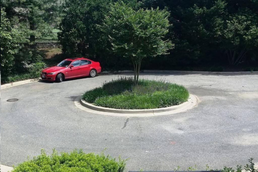 Apartment Comfy Whole Unit, Private Entrance, Free Parking, Minutes To Georgetown
