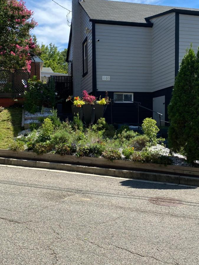 Star's 420 Oasis Washington