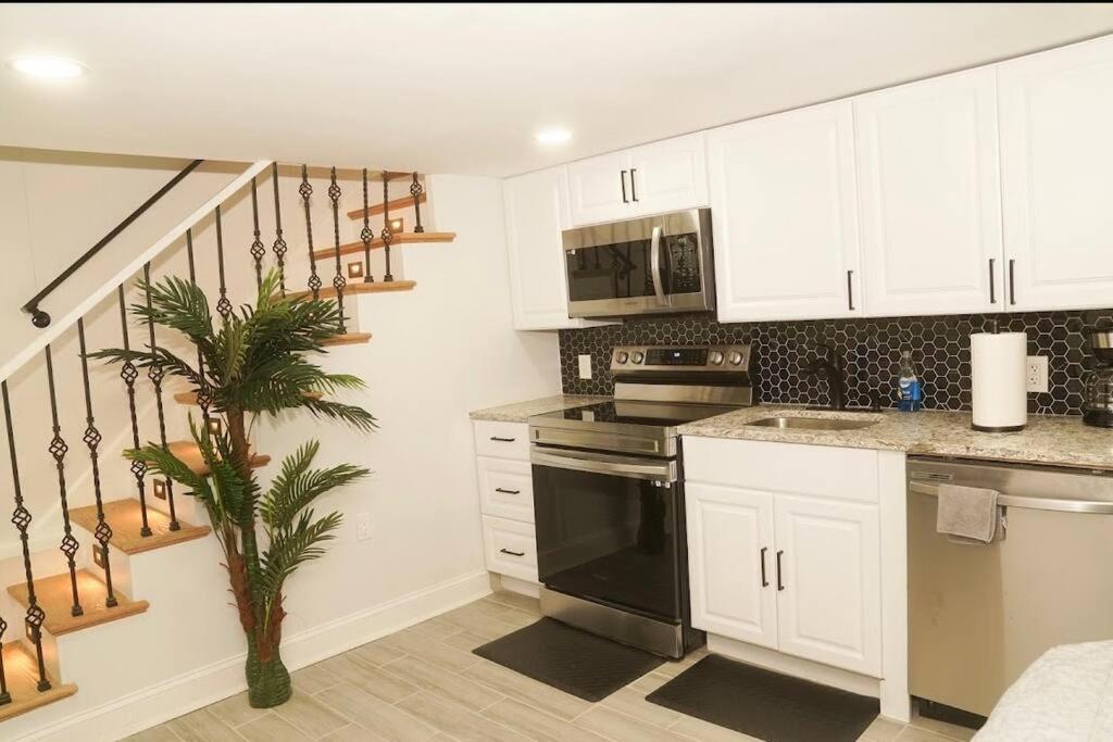 Apartment 1 Bed 1 Bath *