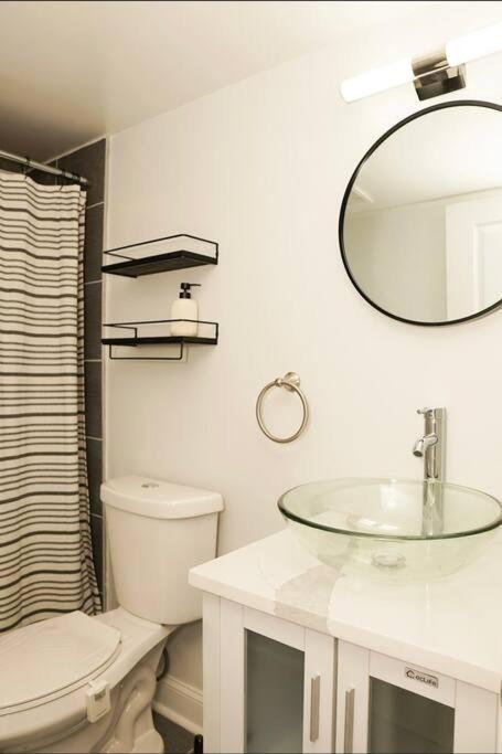 1 Bed 1 Bath *